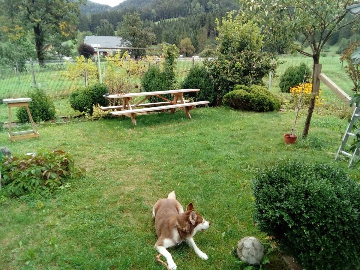 Apartment-Mandl Sankt Georgen am Reith Buitenkant foto